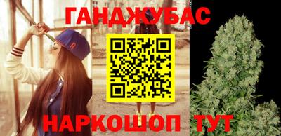 прущие крисы Бердск